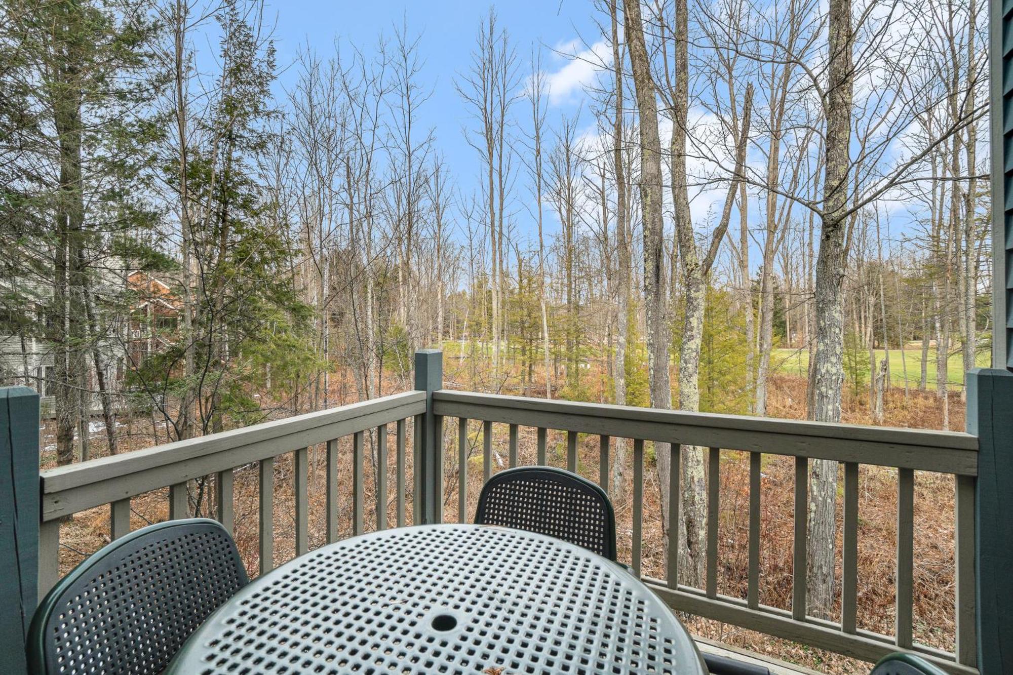Wintergreen Condos Thompsonville Pokoj fotografie