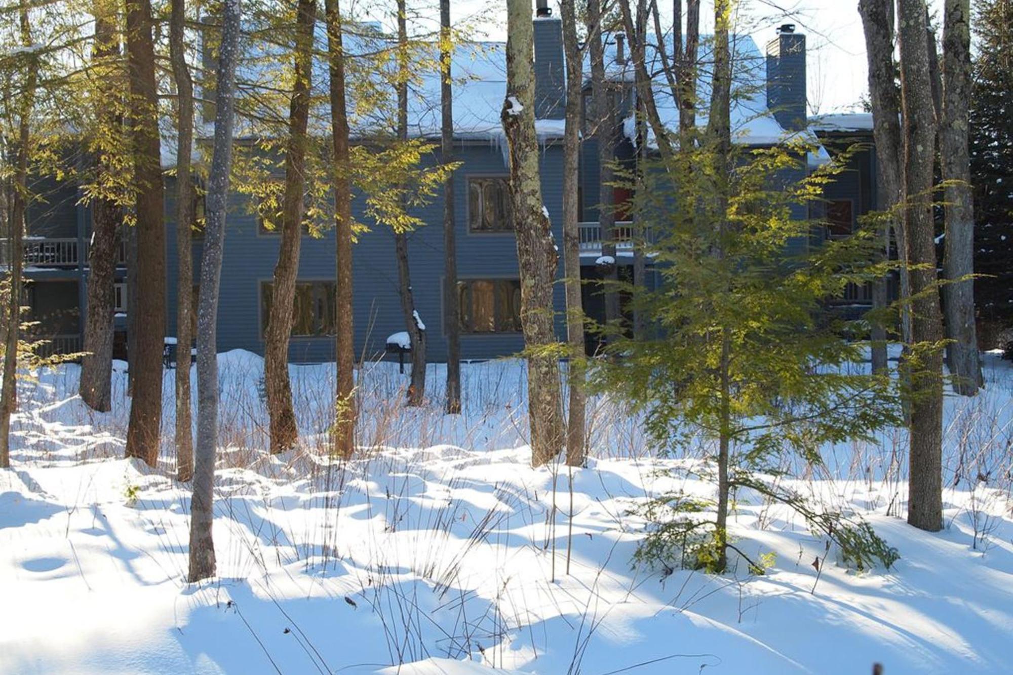 Wintergreen Condos Thompsonville Pokoj fotografie